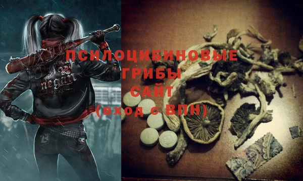 ALPHA PVP Кодинск