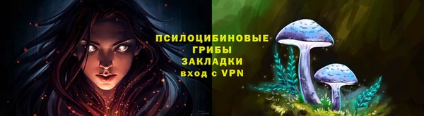 амф Володарск