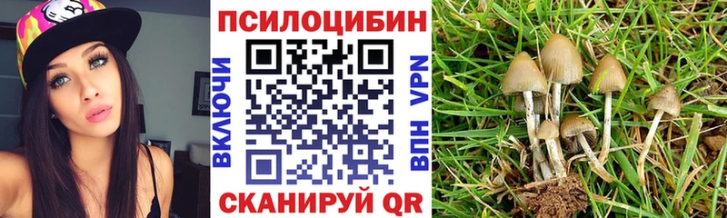 Галлюциногенные грибы Psilocybine cubensis  Колпашево 