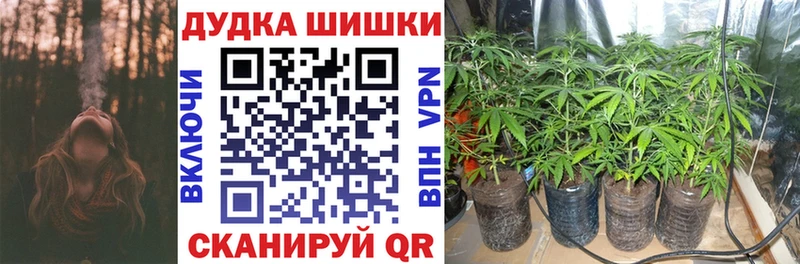 Шишки марихуана OG Kush  Колпашево 